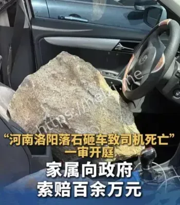 洛阳落石致死案