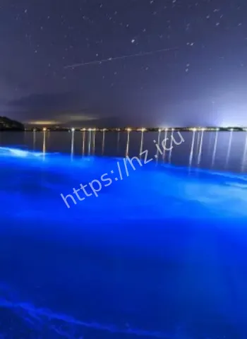 海岸惊现荧光海藻
